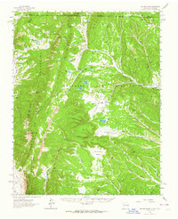 Ash Mountain 1962 topographic map thumbnail