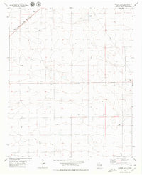 Badger Lake 1979 topographic map thumbnail