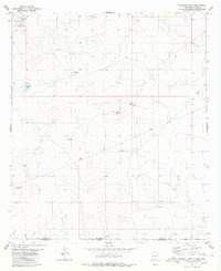 Bassett Lake 1980 topographic map thumbnail