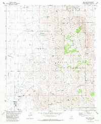 Bear Peak 1981 topographic map thumbnail