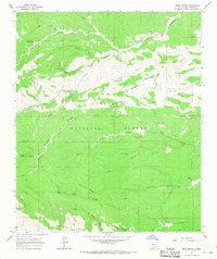 Bear Spring 1965 topographic map thumbnail