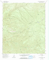 Bearwallow Mountain 1963 topographic map thumbnail