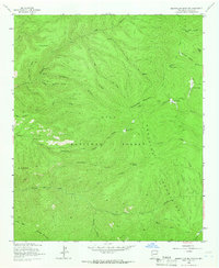 Bearwallow Mountain 1963 topographic map thumbnail