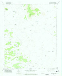Bell Ranch 1972 topographic map thumbnail