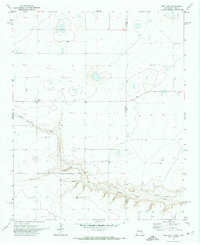 Bellview 1971 topographic map thumbnail