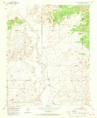 Benavidez Ranch 1954 topographic map thumbnail