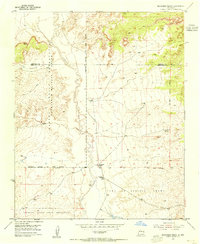 Benavidez Ranch 1954 topographic map thumbnail