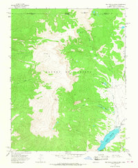 Big Costilla Peak 1963 topographic map thumbnail
