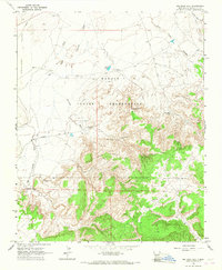 Big Rock Hill 1963 topographic map thumbnail