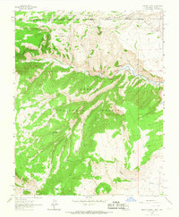 Bighorn Peak 1963 topographic map thumbnail