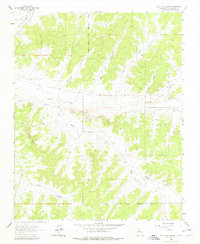 Billy Rice Canyon 1963 topographic map thumbnail