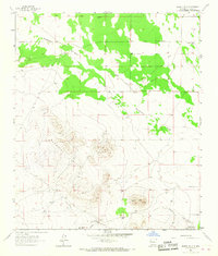 Bisbee Hills 1965 topographic map thumbnail