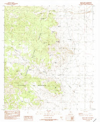 Black Point 1982 topographic map thumbnail