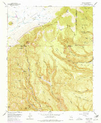 Bland 1953 topographic map thumbnail