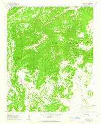 Blue Mesa 1961 topographic map thumbnail