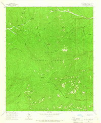 Blue Mountain 1964 topographic map thumbnail