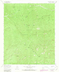 Blue Mountain 1964 topographic map thumbnail