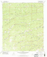 Bluff Springs 1974 topographic map thumbnail