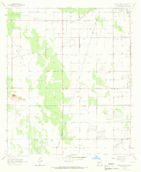 Bowlin Ranch 1965 topographic map thumbnail