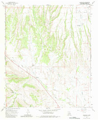 Buckhorn 1965 topographic map thumbnail