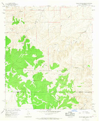 Bullis Spring Ranch 1965 topographic map thumbnail