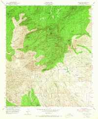 Burro Peak 1950 topographic map thumbnail