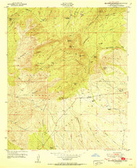 Burro Peak 1951 topographic map thumbnail