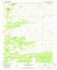 Camaleon Draw West 1981 topographic map thumbnail
