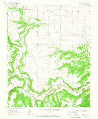 Canon Ancho 1964 topographic map thumbnail