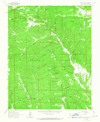 Canon Plaza 1963 topographic map thumbnail