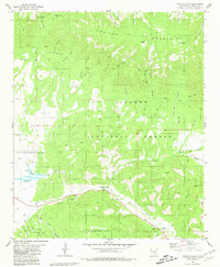 Capitan Pass 1981 topographic map thumbnail