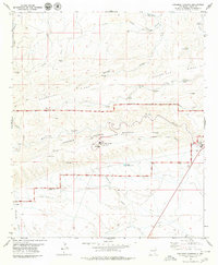 Carlsbad Caverns 1979 topographic map thumbnail