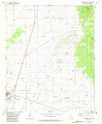 Carrizozo East 1982 topographic map thumbnail