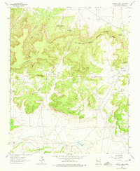 Casamero Lake 1963 topographic map thumbnail
