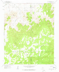 Cerro Parido 1961 topographic map thumbnail