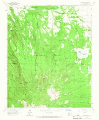 Cerro Pelon 1963 topographic map thumbnail