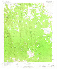 Cerro Pelon 1963 topographic map thumbnail