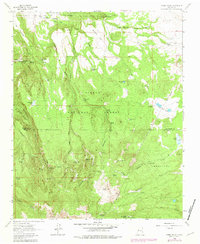 Cerro Pelon 1963 topographic map thumbnail