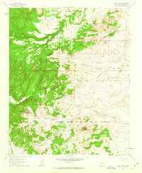 Cerro Tinaja 1961 topographic map thumbnail