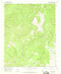 Cerro Vista 1965 topographic map thumbnail