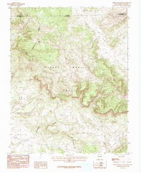 Chromo Mountain 1983 topographic map thumbnail