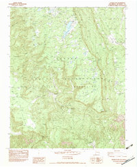 Chuska Peak 1982 topographic map thumbnail