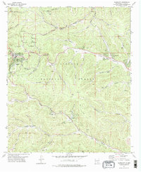 Cloudcroft 1977 topographic map preview