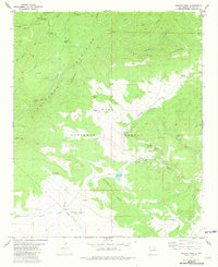 Collins Park 1981 topographic map thumbnail