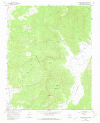 Comanche Peak 1965 topographic map thumbnail