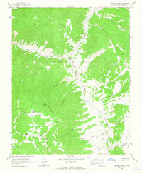Comanche Point 1963 topographic map thumbnail