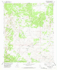 Cooper Canyon 1981 topographic map thumbnail