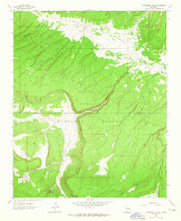 Cottonwood Canyon 1962 topographic map thumbnail