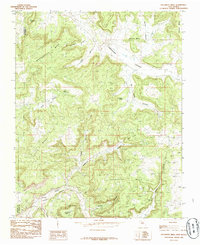 Delgadita Mesa 1985 topographic map thumbnail