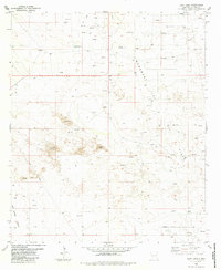 East Lake 1984 topographic map thumbnail